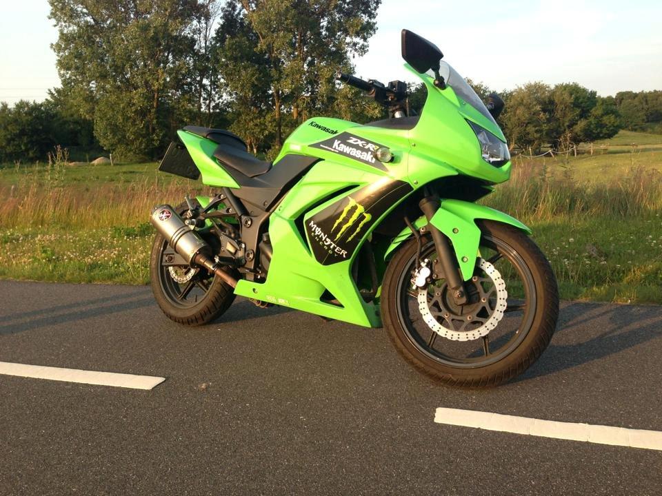 Kawasaki Ninja 250r Monster Edition billede 2