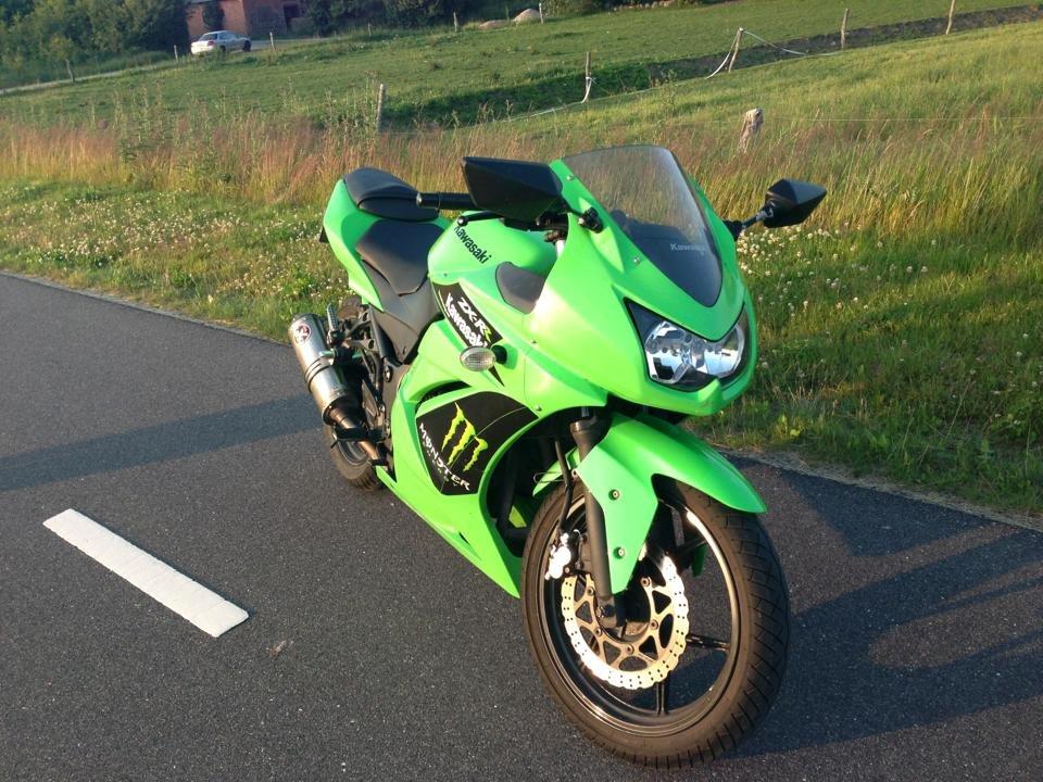 Kawasaki Ninja 250r Monster Edition billede 1