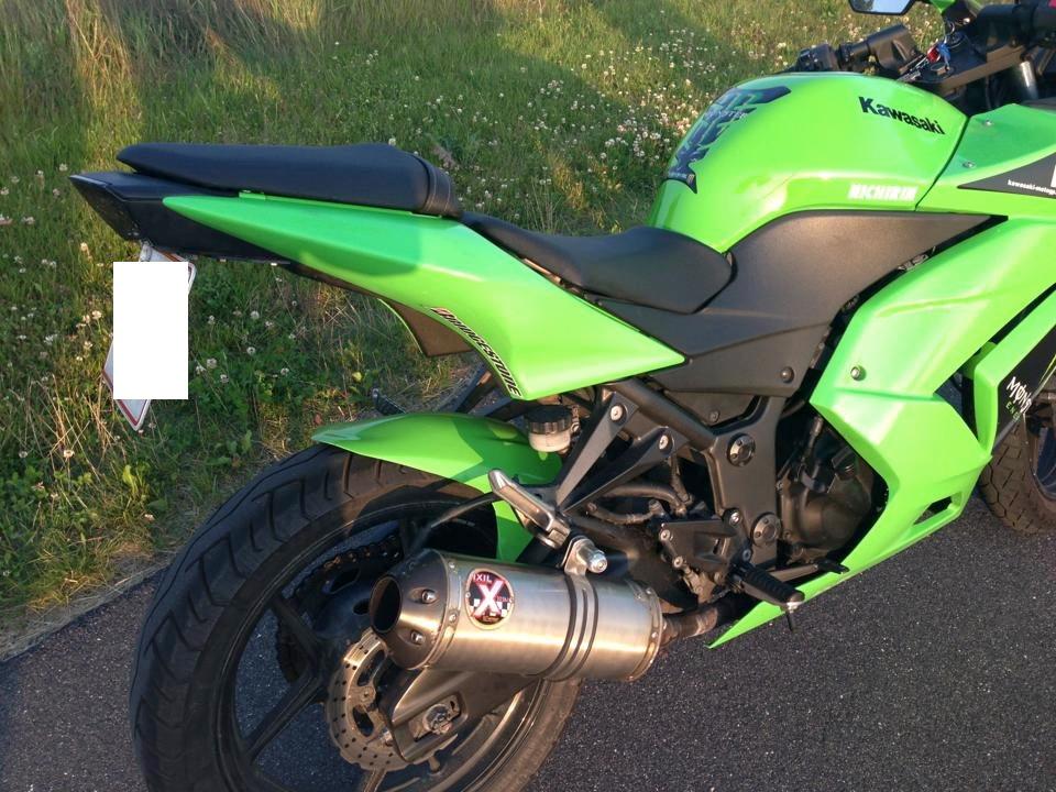 Kawasaki Ninja 250r Monster Edition billede 4