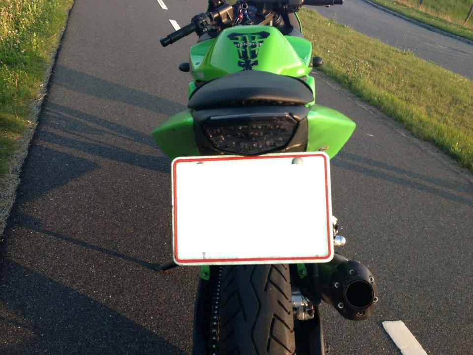 Kawasaki Ninja 250r Monster Edition billede 5