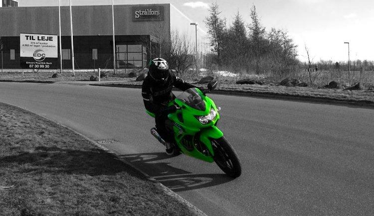 Kawasaki Ninja 250r Monster Edition billede 6