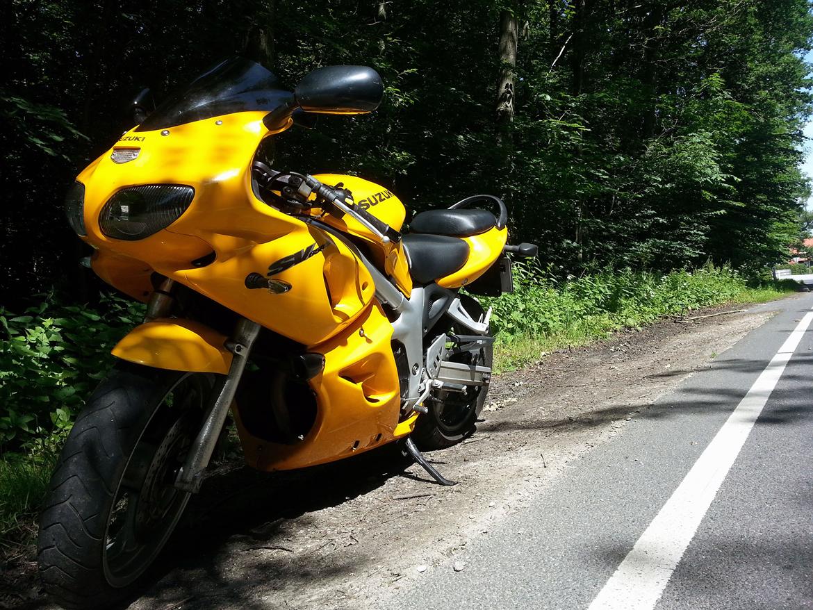 Suzuki SV 650 S - Ude i solen, på en dejlig tur/retur fra Roskilde til Sorø i Juli 2013. billede 21