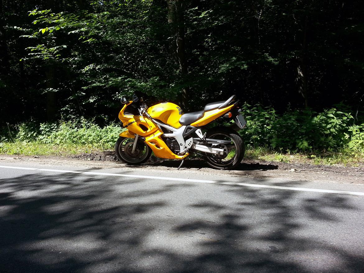 Suzuki SV 650 S - Ude i solen, på en dejlig tur/retur fra Roskilde til Sorø i Juli 2013. billede 23