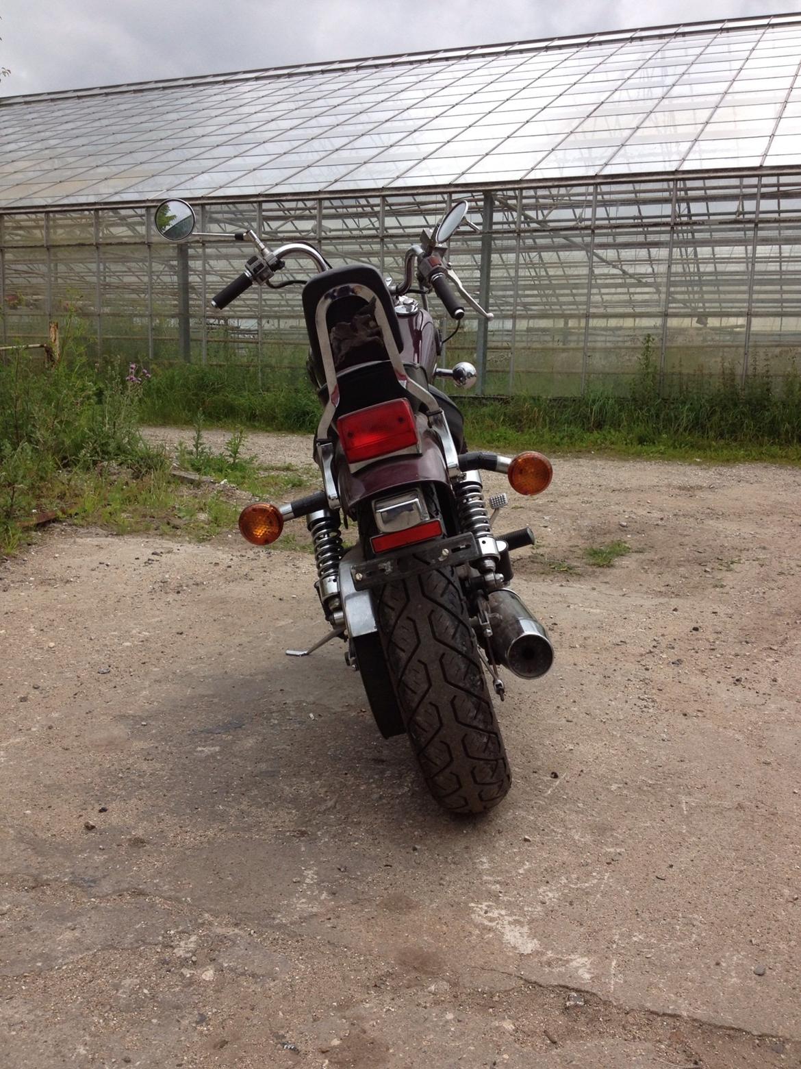 Suzuki LS 650 Savage (Solgt) billede 4