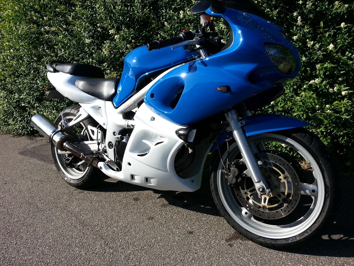 Suzuki SV 650 S billede 6