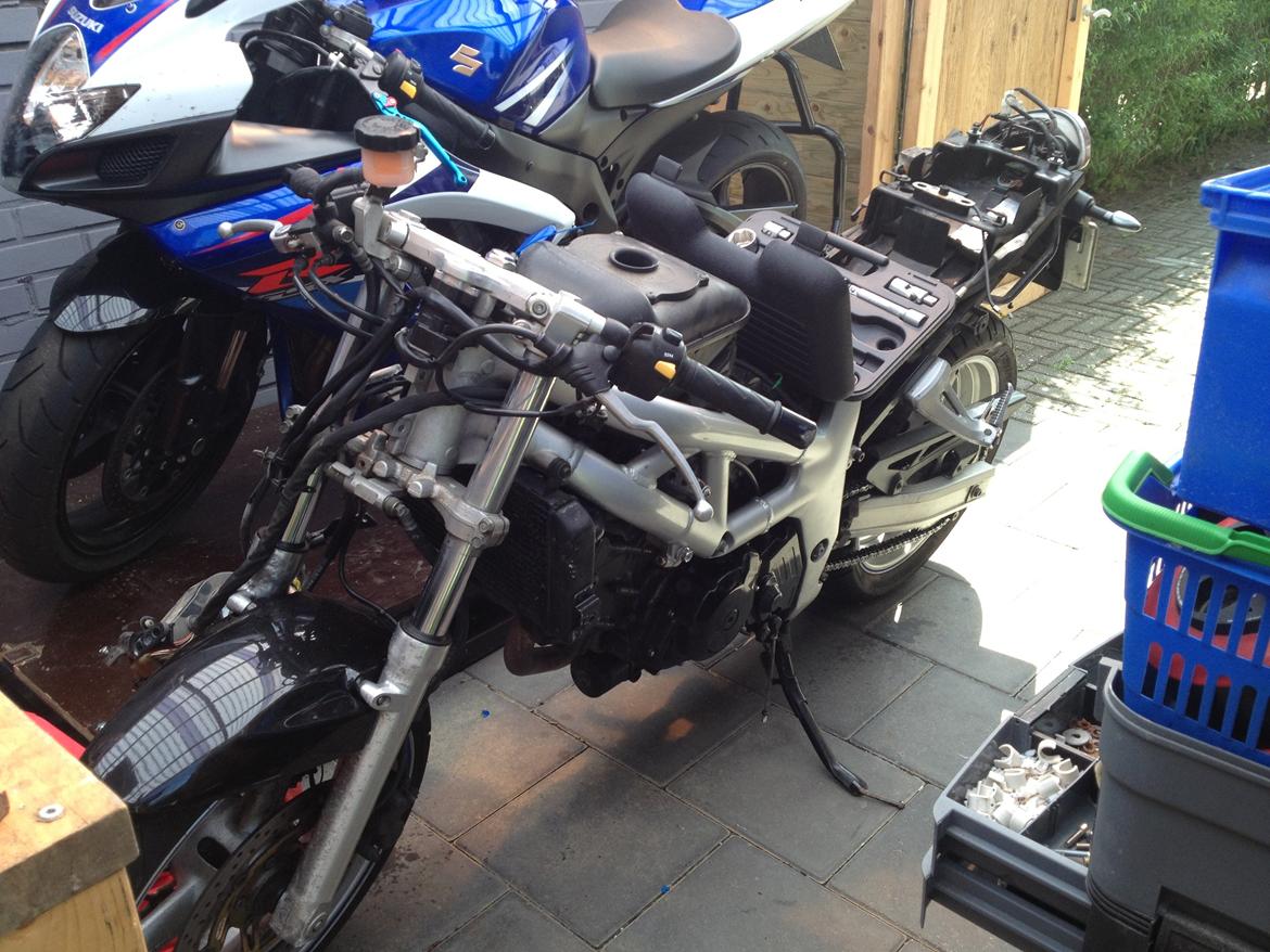 Suzuki sv650 billede 13