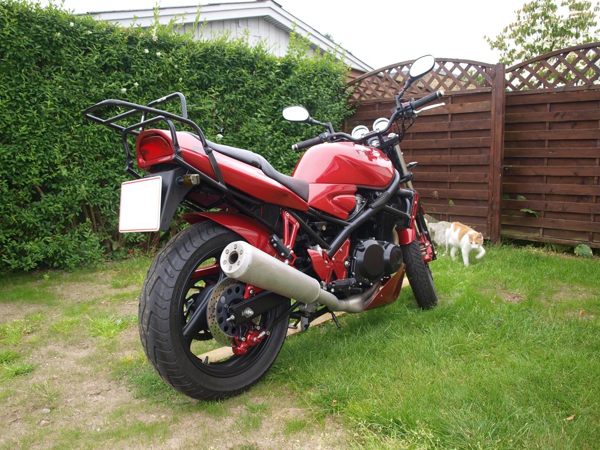 Suzuki GSF Bandit 400 [SOLGT] billede 2