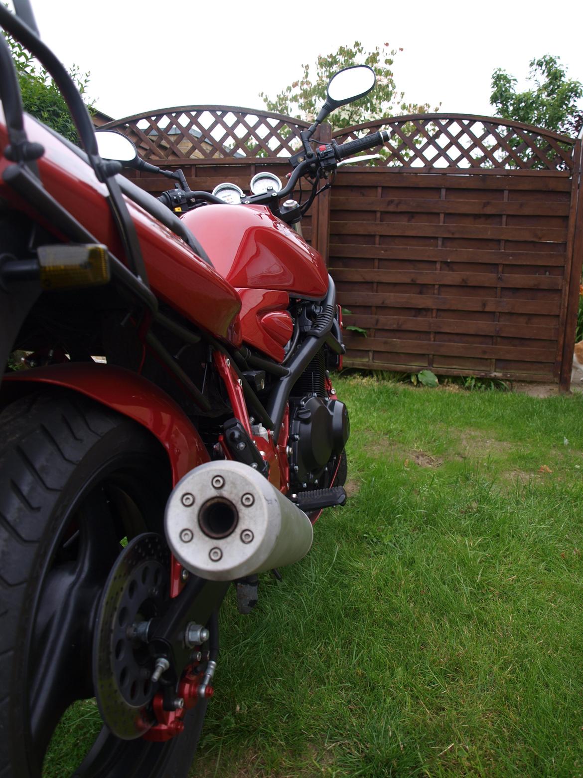 Suzuki GSF Bandit 400 [SOLGT] billede 9