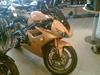 Triumph Daytona 675 (SOLGT)