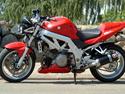 Suzuki SV 1000 n