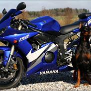 Yamaha YZF-R6