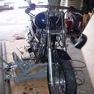 Harley Davidson 883 sportster