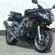 Suzuki SV650S (solgt)