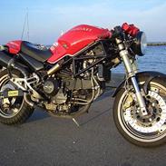 Ducati Monster