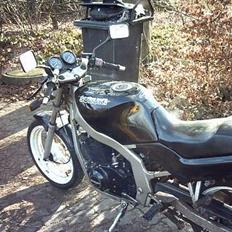 Suzuki Gs 500 e (SOLGT)