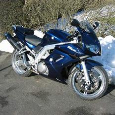 Suzuki SV 1000S (Aalborg)
