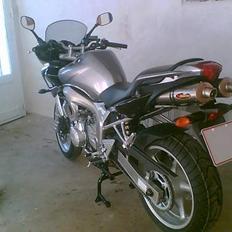 Yamaha FZ6-S - Død...