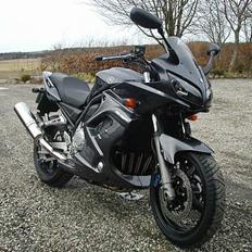 Yamaha FZS 1000