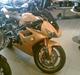 Triumph Daytona 675 (SOLGT)