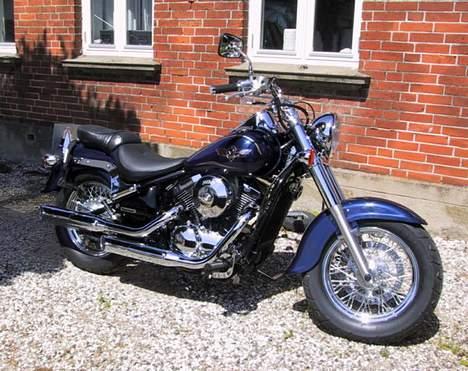 Kawasaki VN 800 CLASSIC  billede 2