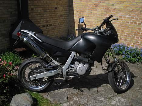 Aprilia pegaso  billede 1