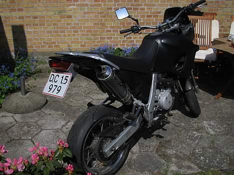 Aprilia pegaso  billede 2