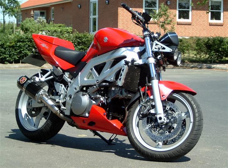 Suzuki SV 1000 n billede 2