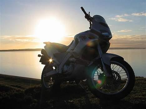 Aprilia Pegaso 650 "Dakar" billede 6