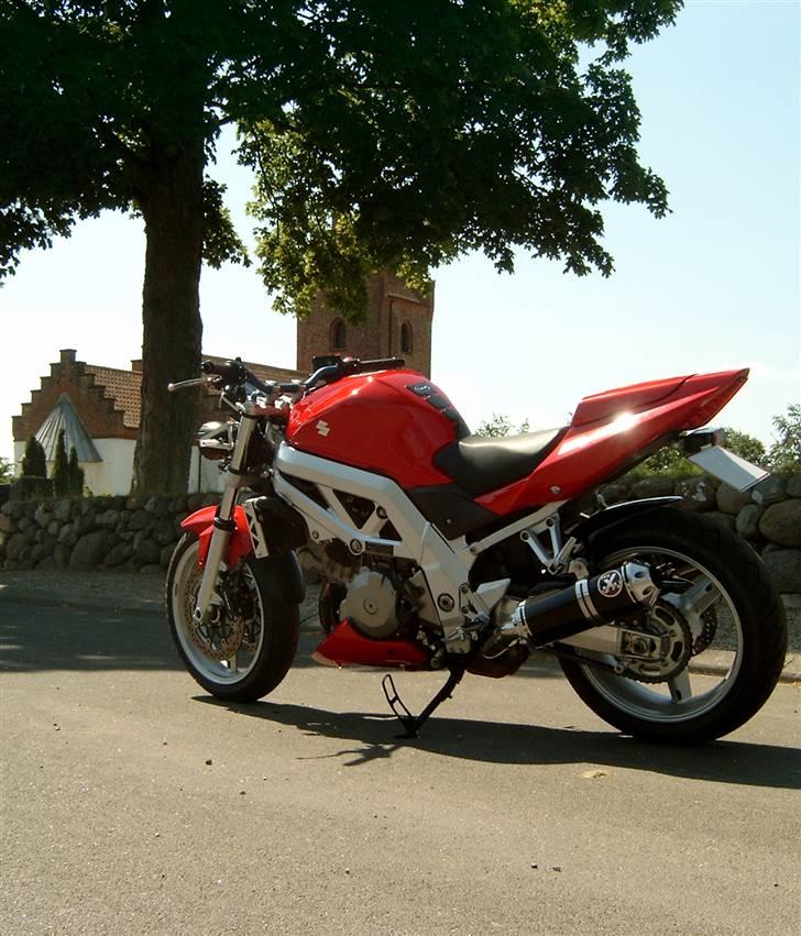 Suzuki SV 1000 n billede 6