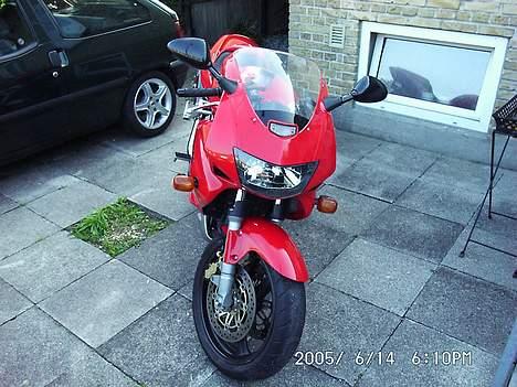 Honda VTR 1000 Fire storm billede 6