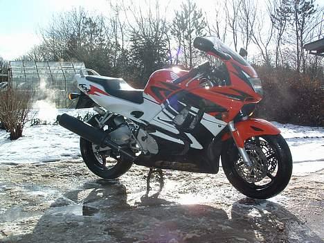 Honda CBR600F F3 billede 1