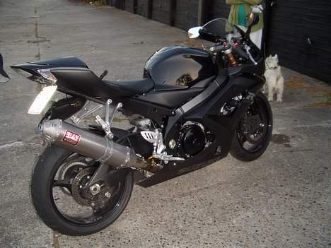 Suzuki Gsx-r 1000 K-5 - Så kom røret på billede 7