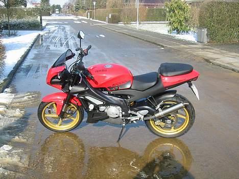 Aprilia Tuono 125 billede 2
