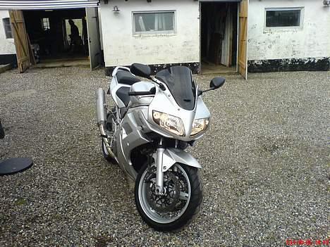 Suzuki SV1000s (SOLGT) billede 2