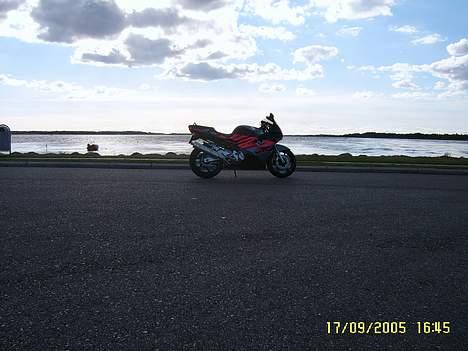 Honda CBR 600 RIP. 4/7 2011 billede 10