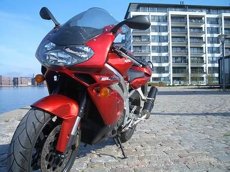 Aprilia Falco SL 1000 - Til Salg billede 3