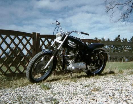 Triumph TR5 Trophy billede 2