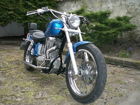 Suzuki $ Ls 650 Savage billede 1