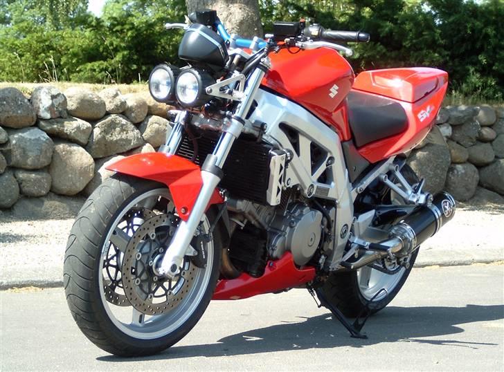 Suzuki SV 1000 n billede 7