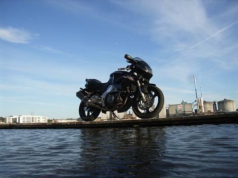 Yamaha SZR 660 BELGARDA -Solgt- billede 1