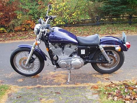 Harley Davidson 883 sportster billede 2