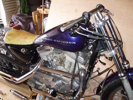 Harley Davidson 883 sportster billede 3