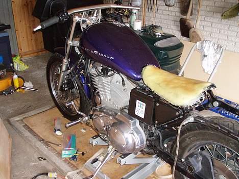 Harley Davidson 883 sportster billede 4