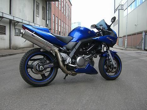 Suzuki SV650 ( Skødstrup ) billede 5