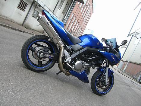 Suzuki SV650 ( Skødstrup ) billede 6