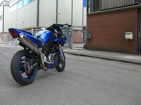 Suzuki SV650 ( Skødstrup ) billede 7