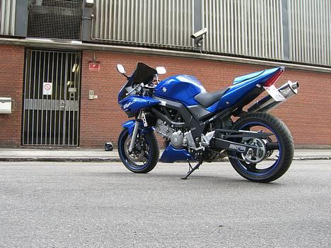 Suzuki SV650 ( Skødstrup ) billede 8