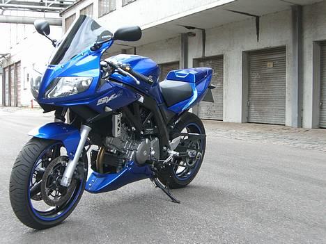 Suzuki SV650 ( Skødstrup ) billede 10