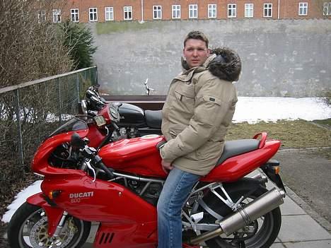 Ducati 800 ss billede 1