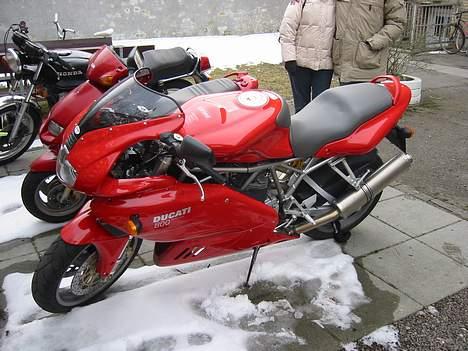Ducati 800 ss billede 6